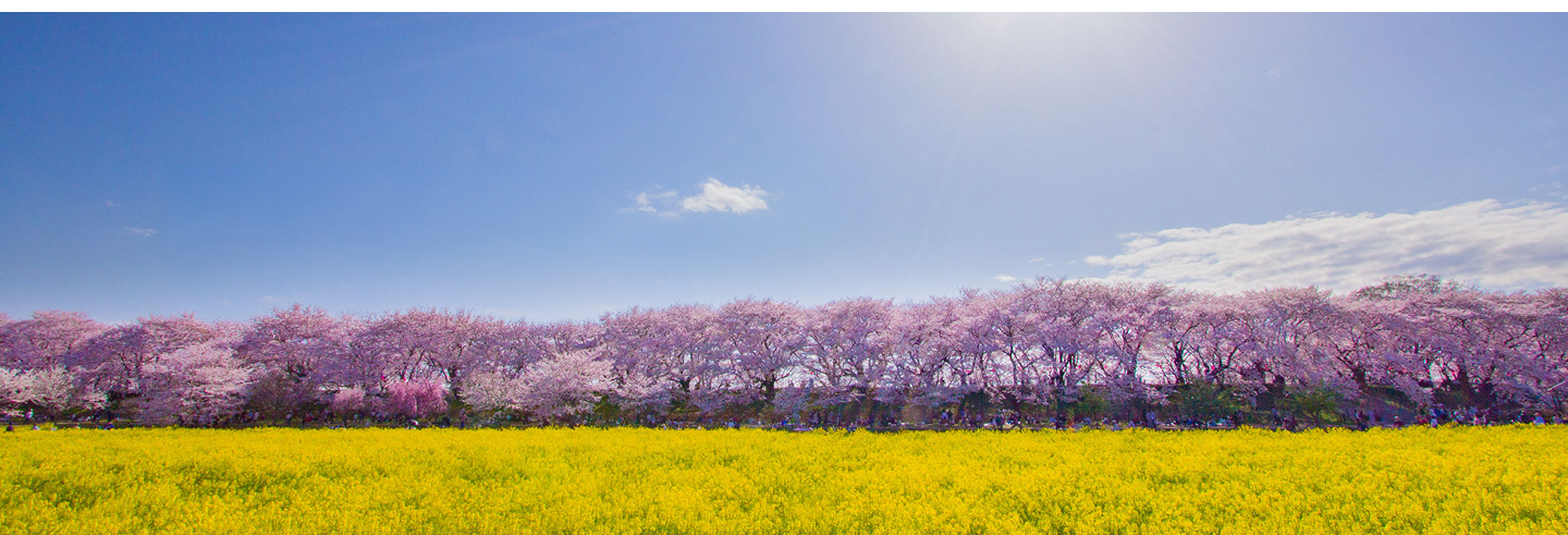 地域を知る